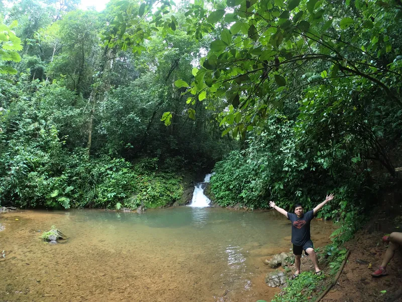 Reserva Forestal Montuoso