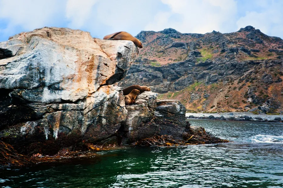 Reserva Nacional Pingüino de Humboldt