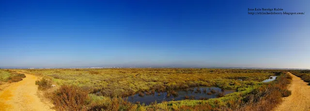 Reserva Natural Marismas de Isla Cristina