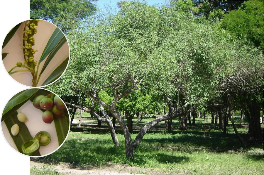 Reserva Natural Provincial Isla Curupí
