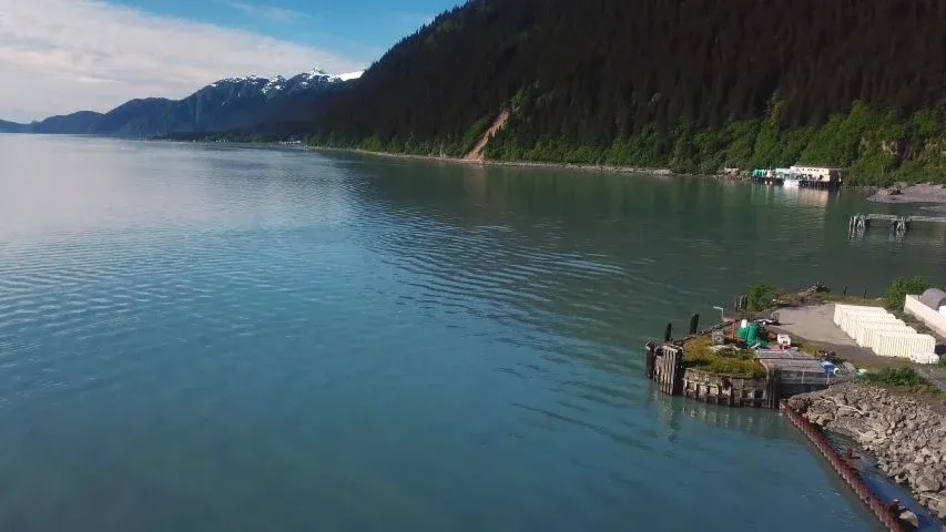 Resurrection Bay