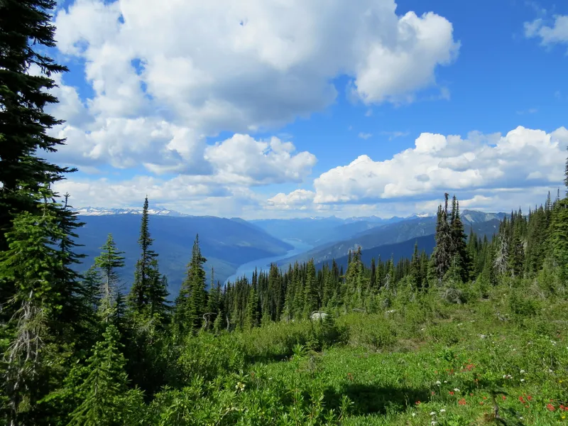 Revelstoke National Park