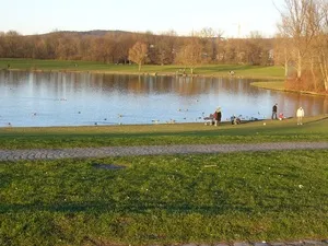 Rheinaue Park