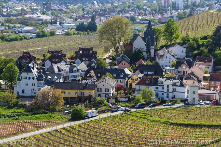 Rheingau Wine Museum