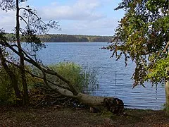 Rheinsberger See
