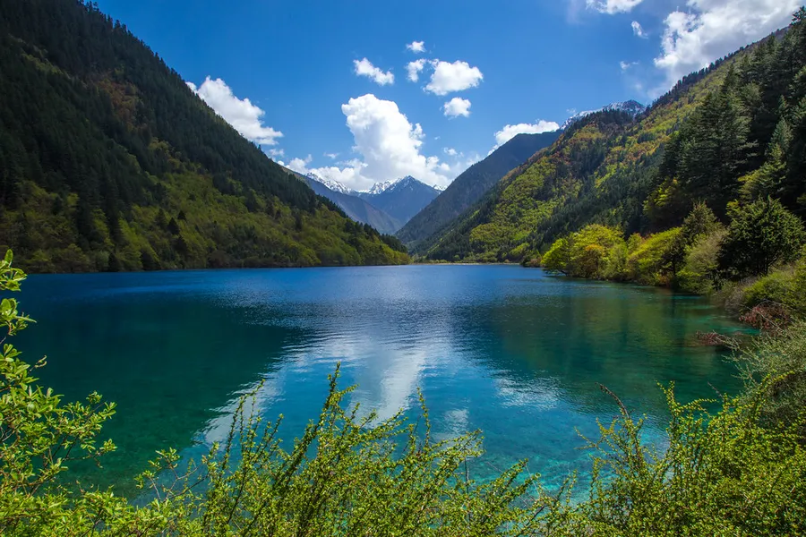 Rhinoceros Lake