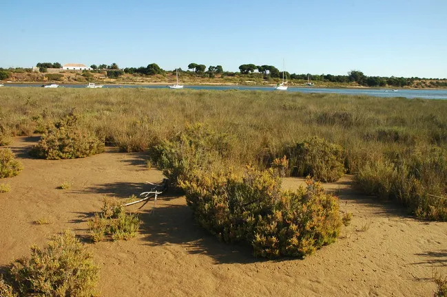 Ria Formosa Natural Park