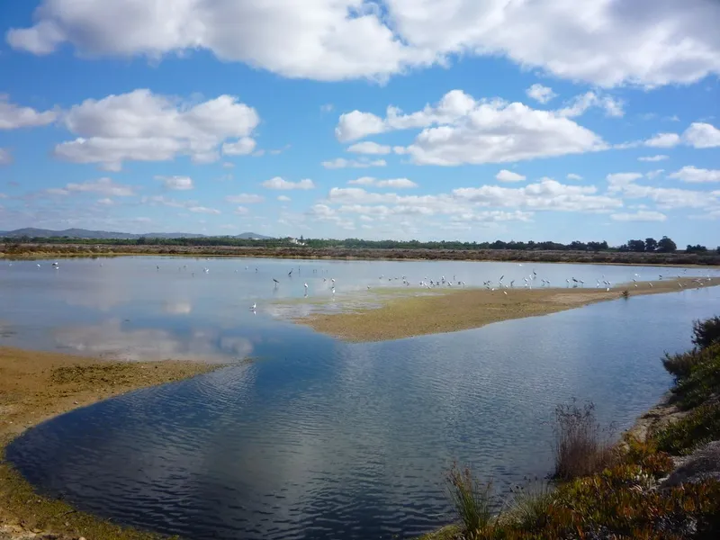 Ria Formosa Natural Park