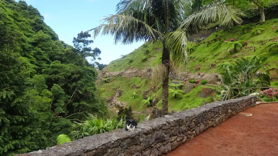 Ribeira dos Caldeirões Natural Park