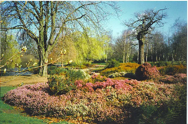 Richmond Park