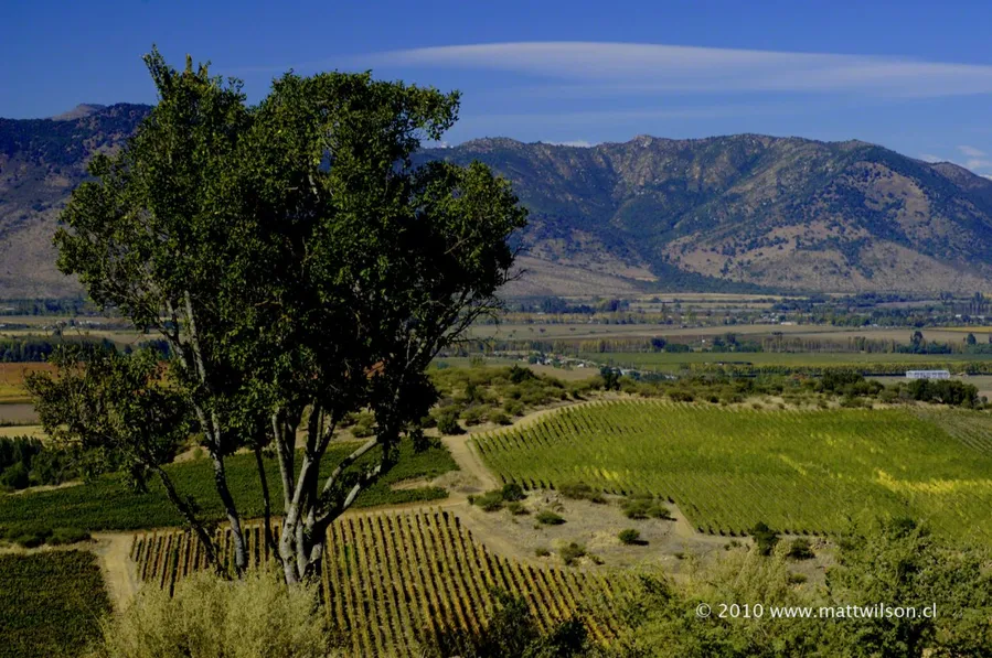 Rideau Vineyard