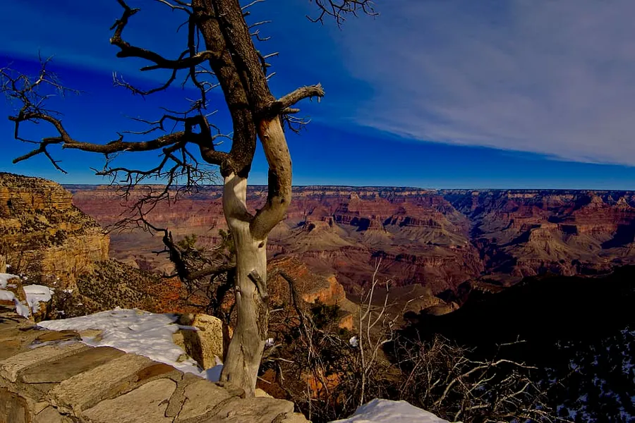Rim Trail