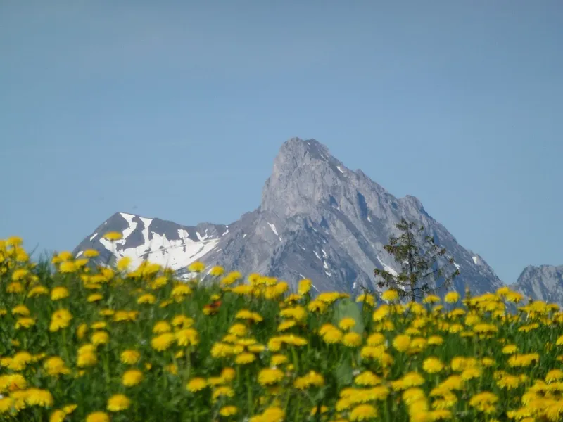 Rinderberg Swiss Alps