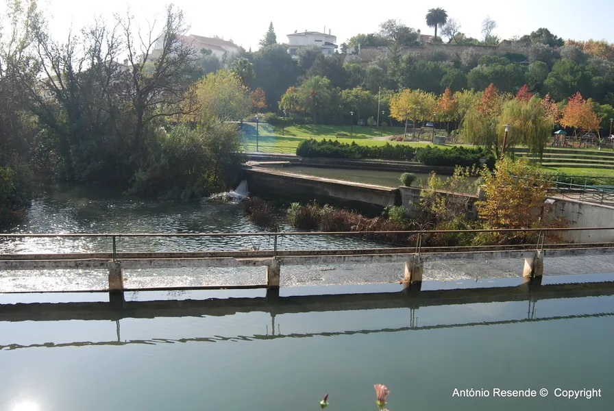 Rio Almonda