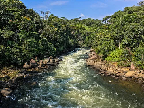 Rio Samana Norte
