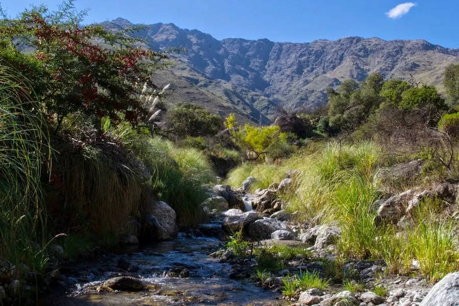 Rio San Javier