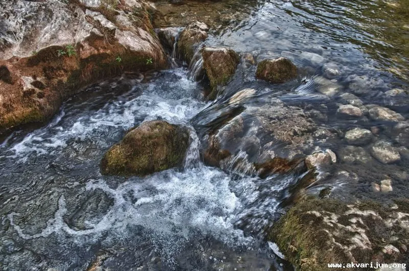 Ripaljka Waterfall