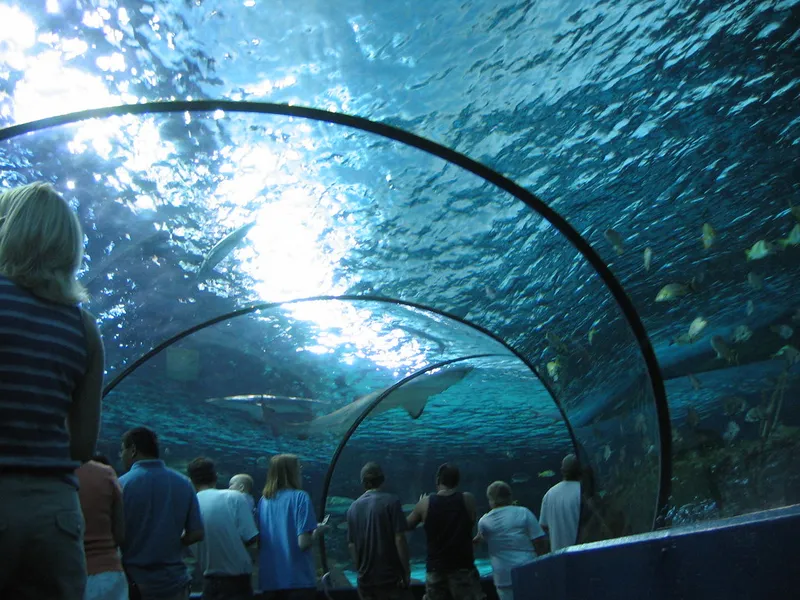 Ripley's Aquarium of Myrtle Beach