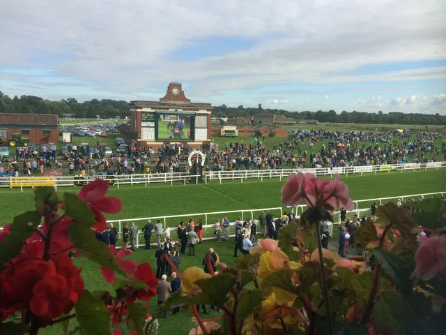 Ripon Racecourse