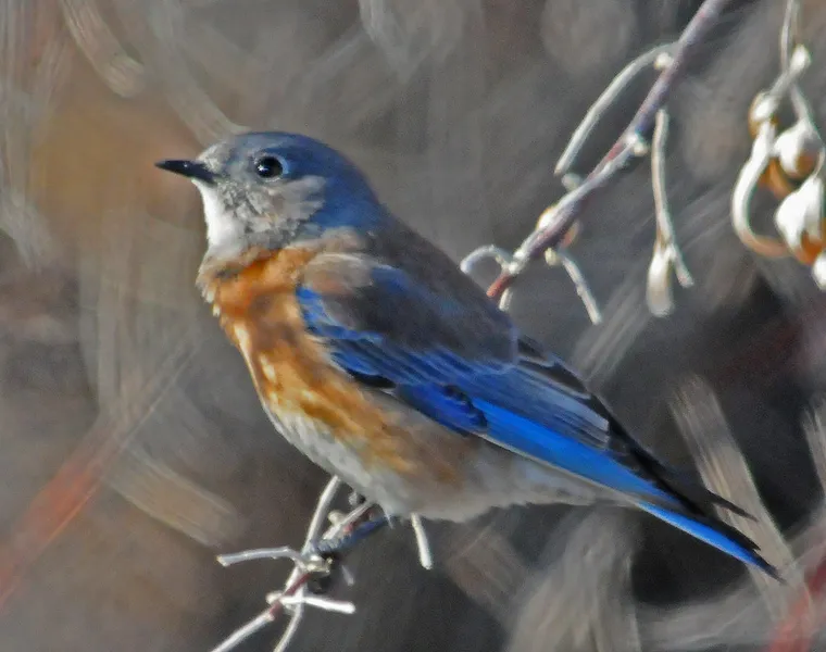 Riverside Nature Center