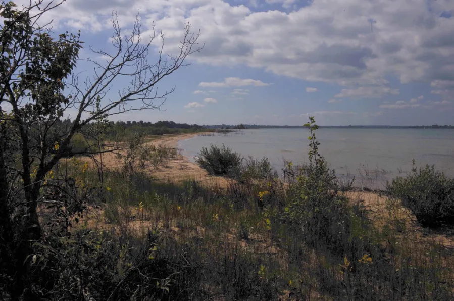 Riverview Park