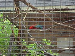 Riverview Park and Zoo