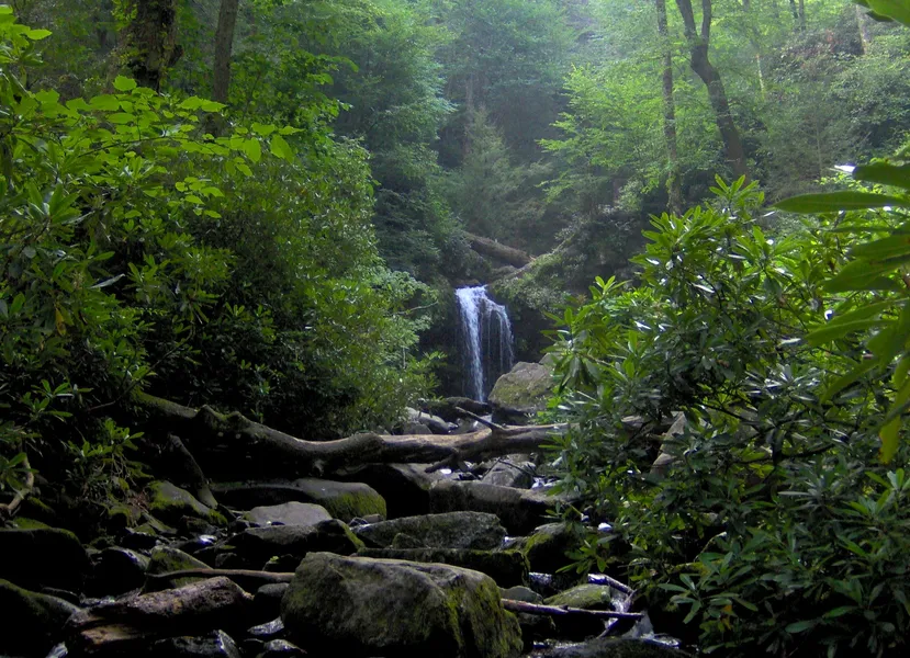 Roaring Fork Motor Nature Trail