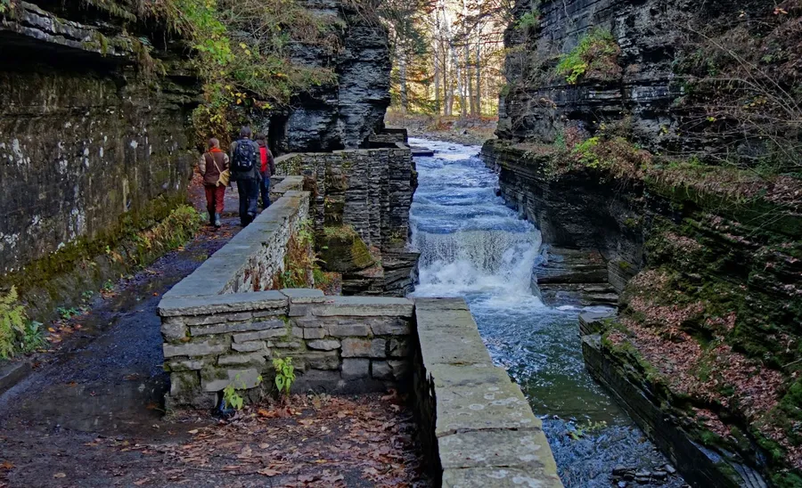 Robert H. Treman State Park