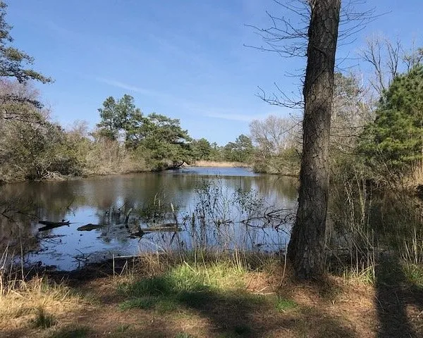 Robert N. Reed Memorial Waterfront Park