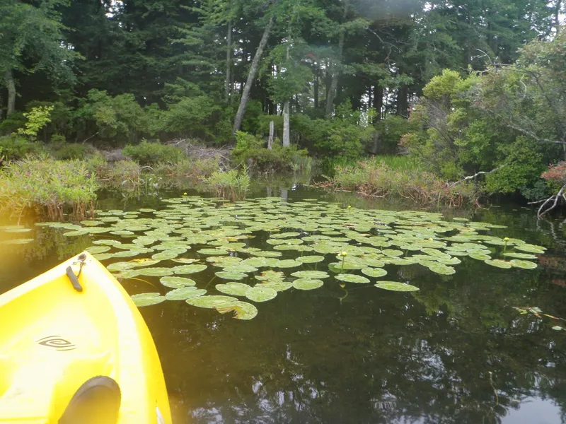 Roberts Bay Bird Sanctuary