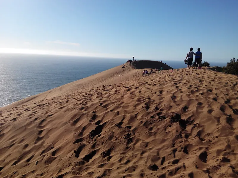 Roca Oceánica