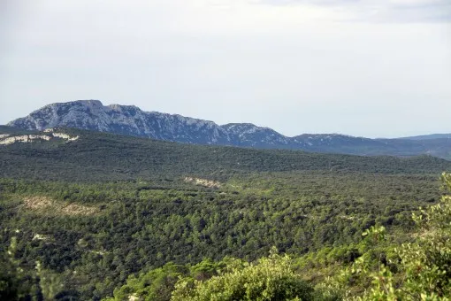 Rocher du Causse