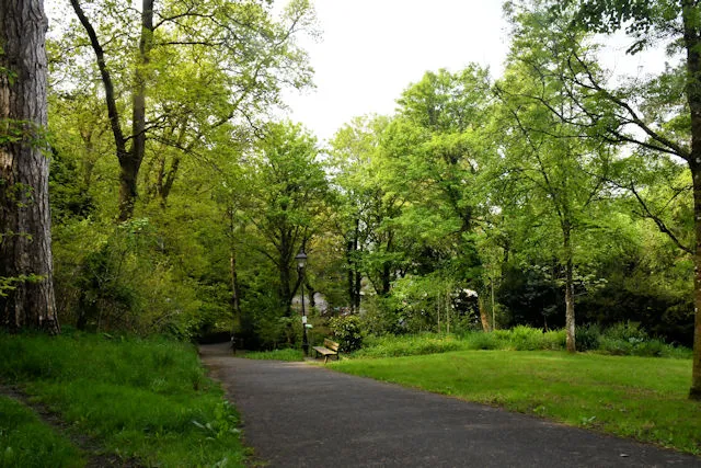 Rock Park
