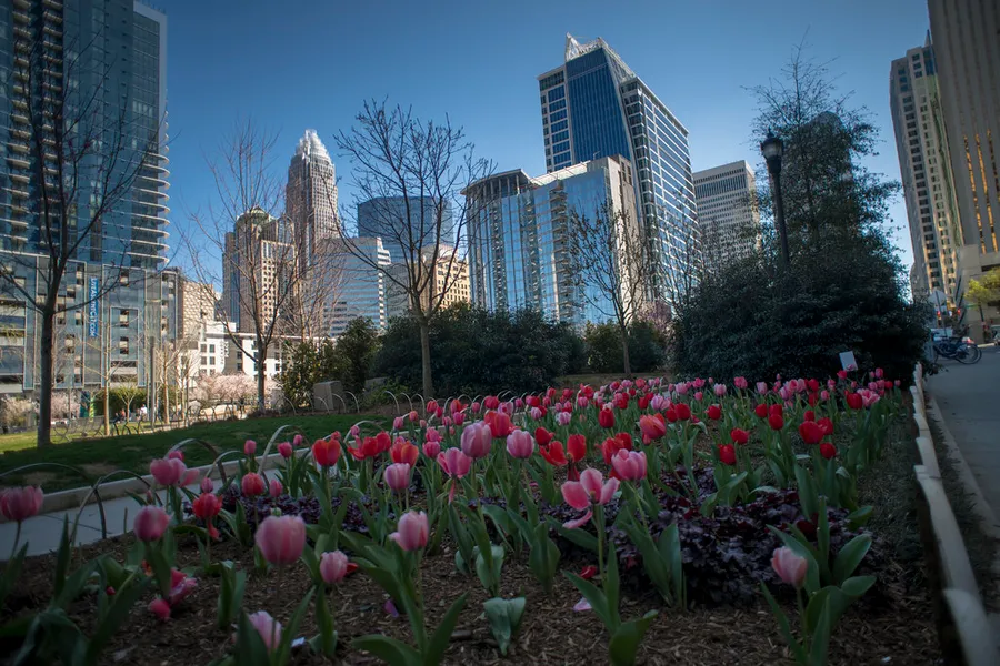 Romare Bearden Park