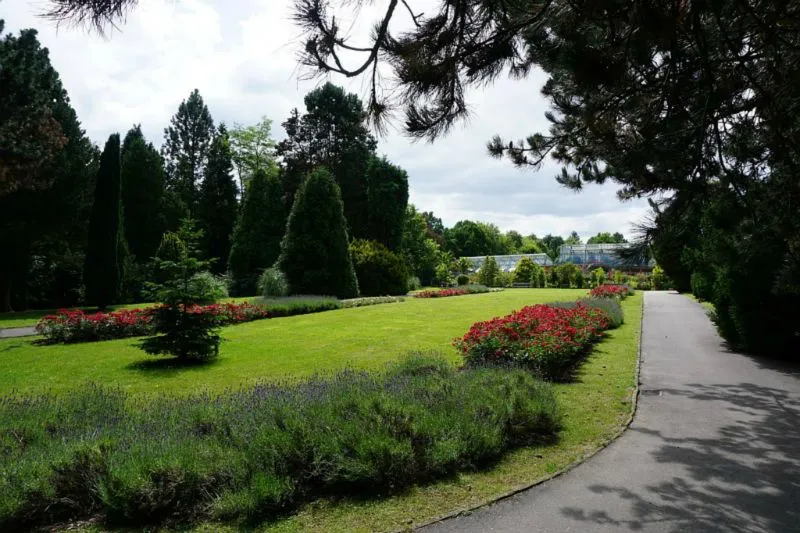 Rombergpark