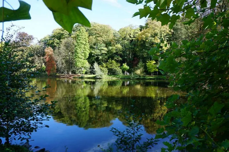 Rombergpark Botanical Garden