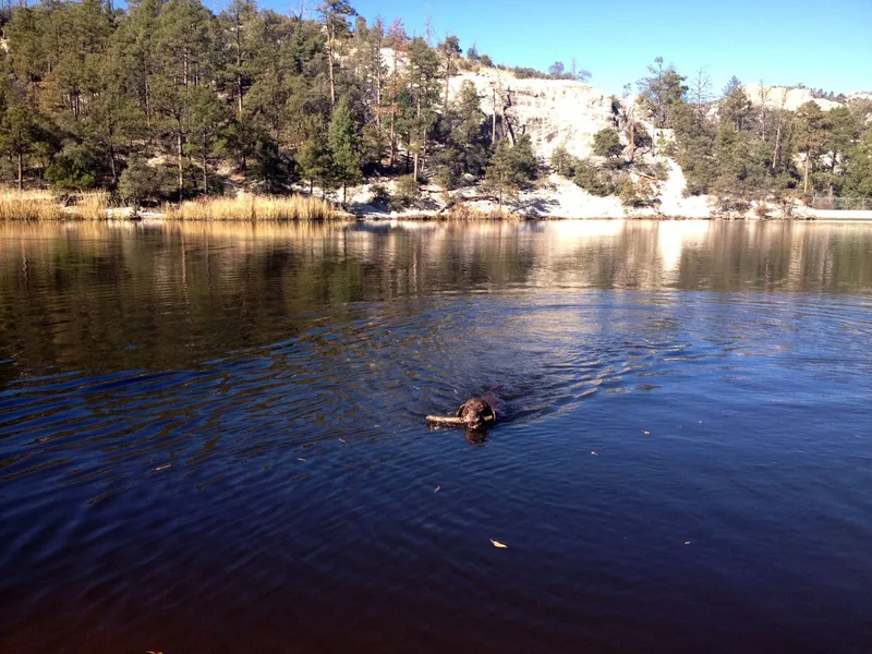 Rose Canyon Lake