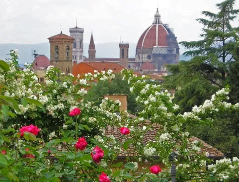 Rose Garden