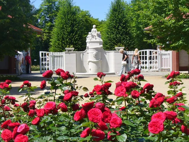 Rose Garden Gernrode