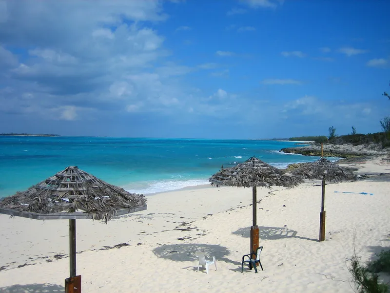 Rose Island
