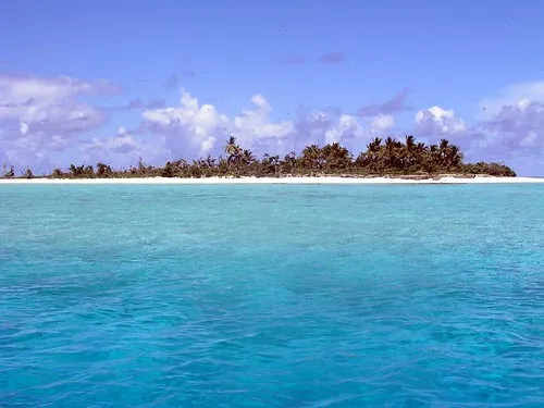 Rose Island Reef