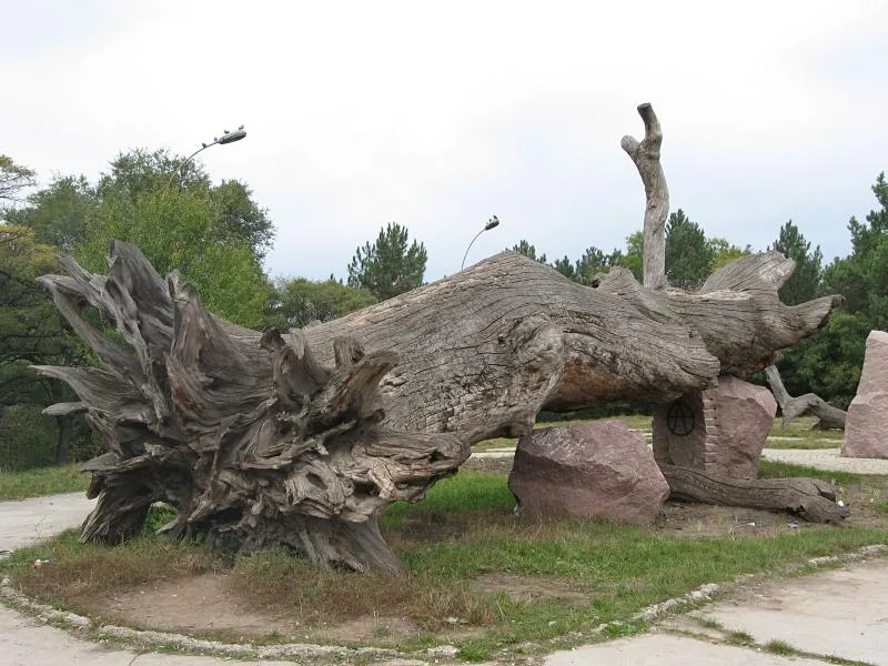 Rose Valley Park