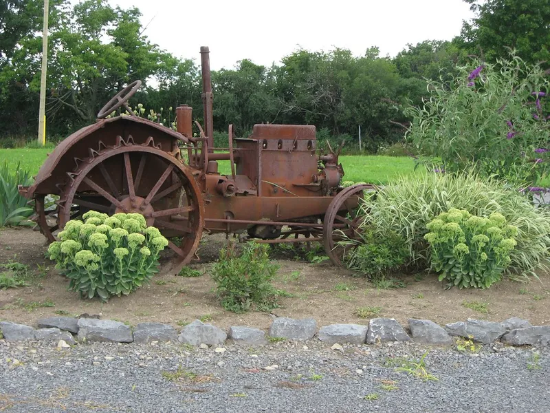Rosehall Run Vineyards
