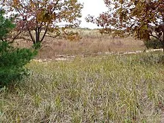 Rosy Mound Natural Area