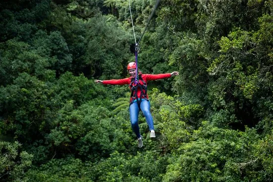 Rotorua Canopy Tours
