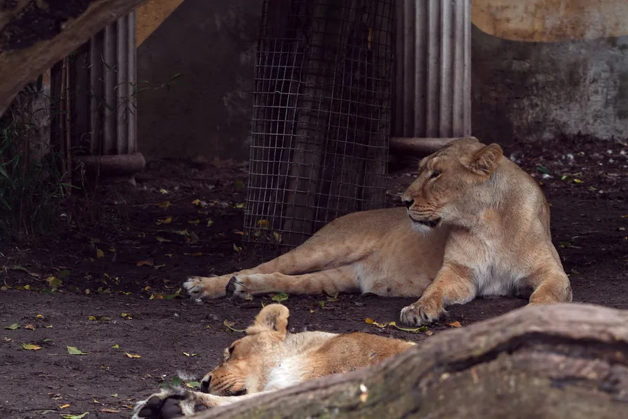 Rotterdam Zoo