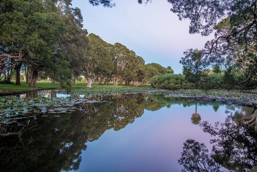 Royal National Park