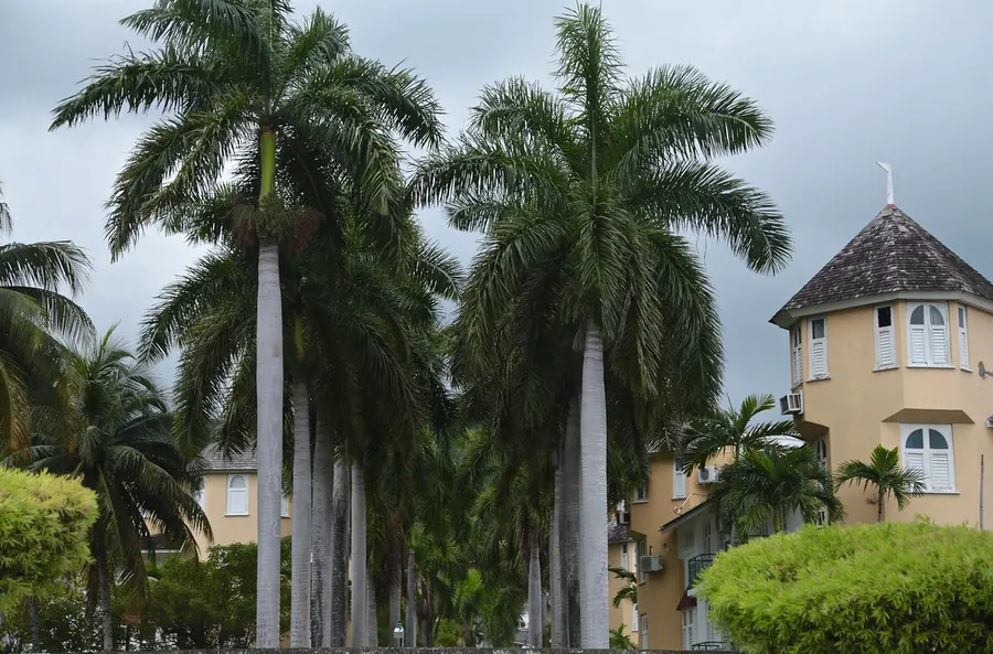 Royal Palm Reserve