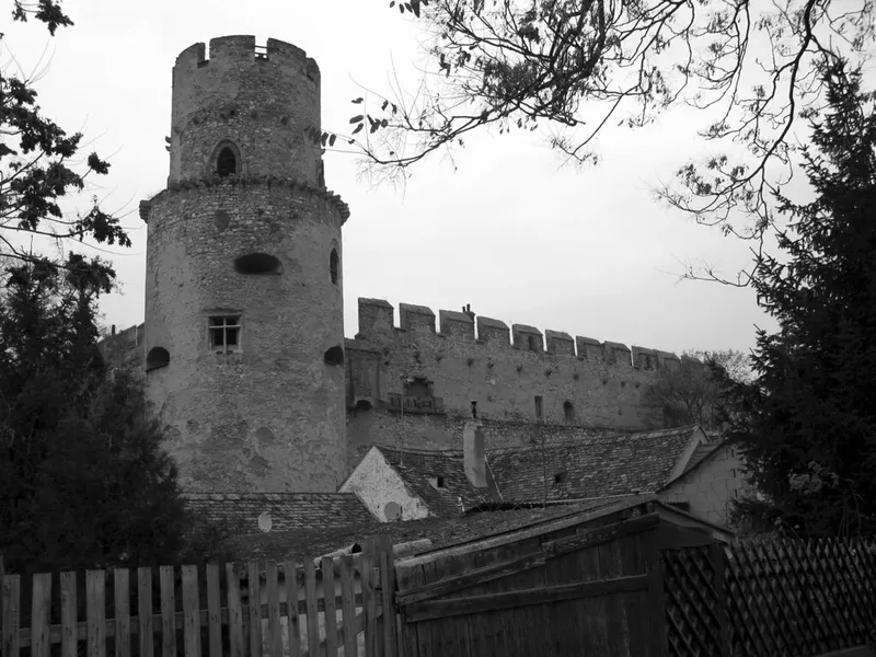 Ruine Neuhabsburg