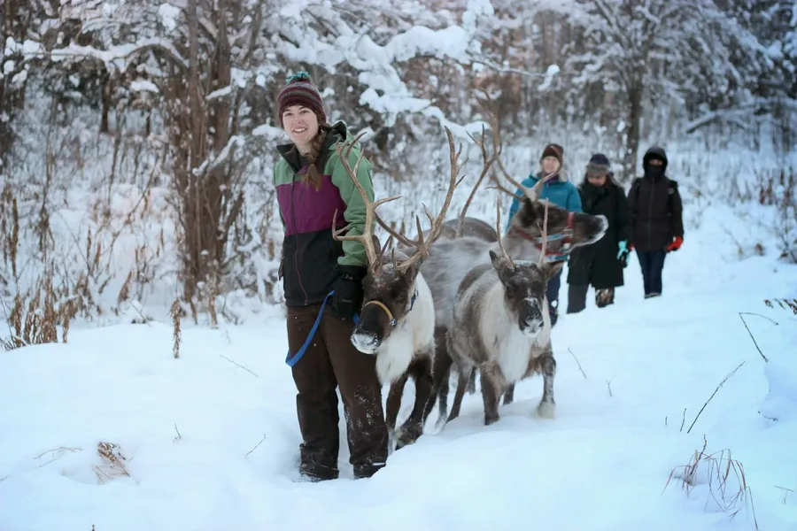 Running Reindeer Ranch